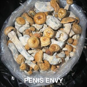 penis envy mushroom